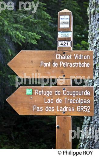 RANDONNEE PEDESTRE, PARC NATIONAL DU MERCANTOUR, VESUBIE, ALPES MARITIMES. (06F03432.jpg)