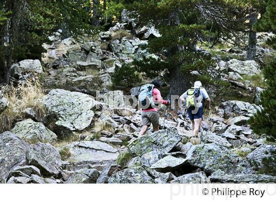 RANDONNEE PEDESTRE, PARC NATIONAL DU MERCANTOUR, VESUBIE, ALPES MARITIMES. (06F03436.jpg)