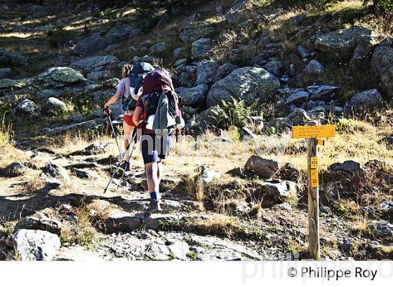 RANDONNEE PEDESTRE, PARC NATIONAL DU MERCANTOUR, VESUBIE, ALPES MARITIMES. (06F03504.jpg)