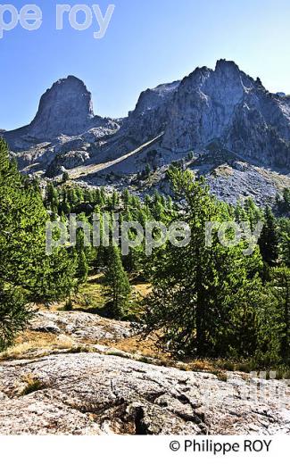 RANDONNEE PEDESTRE, PARC NATIONAL DU MERCANTOUR, VESUBIE, ALPES MARITIMES. (06F03535.jpg)
