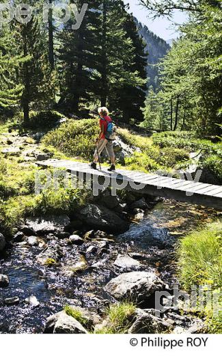 RANDONNEE PEDESTRE, PARC NATIONAL DU MERCANTOUR, VESUBIE, ALPES MARITIMES. (06F03539.jpg)