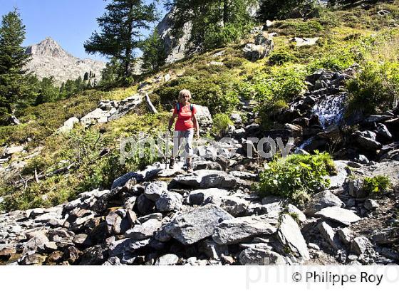 RANDONNEE PEDESTRE, PARC NATIONAL DU MERCANTOUR, VESUBIE, ALPES MARITIMES. (06F03601.jpg)