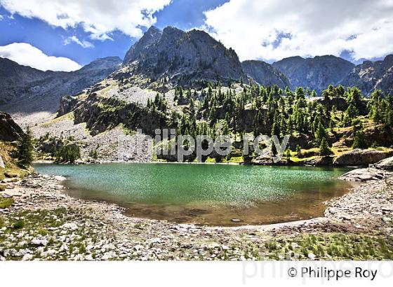 RANDONNEE PEDESTRE, PARC NATIONAL DU MERCANTOUR, VESUBIE, ALPES MARITIMES. (06F03615.jpg)