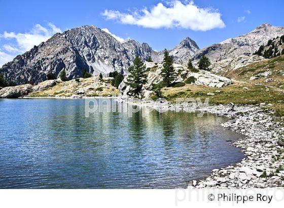 RANDONNEE PEDESTRE, PARC NATIONAL DU MERCANTOUR, VESUBIE, ALPES MARITIMES. (06F03617.jpg)