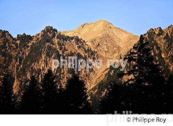 RANDONNEE PEDESTRE, PARC NATIONAL DU MERCANTOUR, VESUBIE, ALPES MARITIMES. (06F03635.jpg)