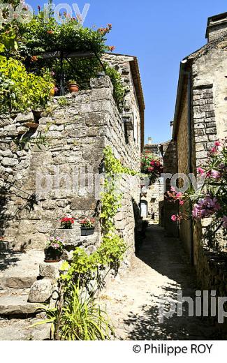 VILLAGE FORIFIE DE BANNE, VALLEE DU CHASSEZAC, BAS-VIVARAIS, ARDECHE. (07F00212.jpg)