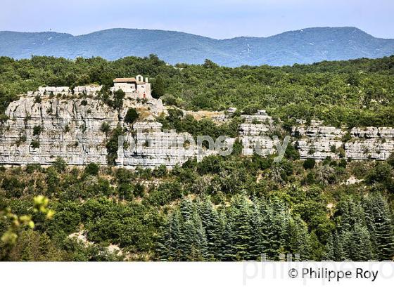 ERMITAGE SAINT-EUGENE, BOIS DE PAIOLIVE,  LES VANS, VALLEE DU CHASSEZAC, BAS-VIVARAIS, ARDECHE. (07F00515.jpg)