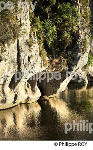 FALAISES  DE LA PADELLE , LES GORGES DU CHASSEZAC, BAS-VIVARAIS, ARDECHE. (07F00521.jpg)