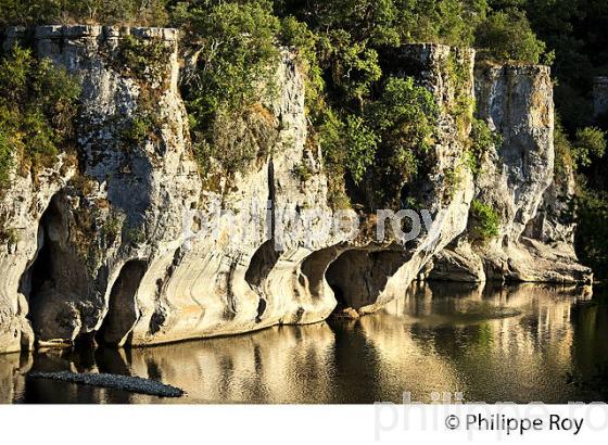FALAISES  DE LA PADELLE , LES GORGES DU CHASSEZAC, BAS-VIVARAIS, ARDECHE. (07F00522.jpg)