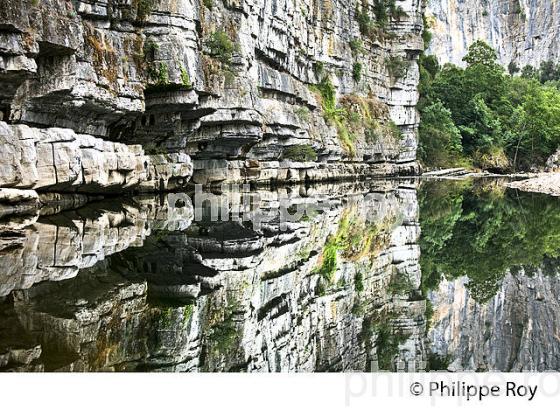 FALAISE CALCAIRE,  GORGES DU CHASSEZAC, COMMUNE BERRIAS ET CASTELJAU,  BAS-VIVARAIS, ARDECHE. (07F00607.jpg)