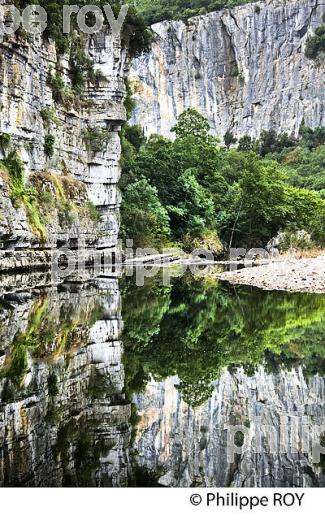 FALAISE CALCAIRE,  GORGES DU CHASSEZAC, COMMUNE BERRIAS ET CASTELJAU,  BAS-VIVARAIS, ARDECHE. (07F00611.jpg)
