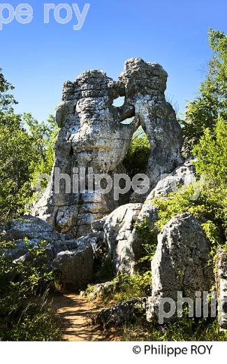 LE BOIS DE PAIOLIVE, COMMUNE BERRIAS  ET CASTELJAU,   VALLEE DU CHASSEZAC, BAS-VIVARAIS, ARDECHE. (07F00921.jpg)