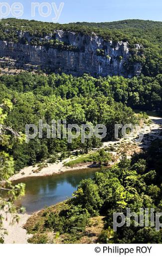 LE BOIS DE PAIOLIVE, LA CORNICHE,  GORGES DU CHASSEZAC,  COMMUNE LES VANS, BAS-VIVARAIS, ARDECHE. (07F01005.jpg)