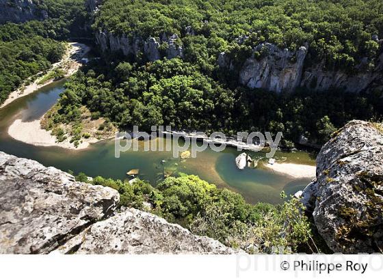 LE BOIS DE PAIOLIVE, LA CORNICHE,  GORGES DU CHASSEZAC,  COMMUNE LES VANS, BAS-VIVARAIS, ARDECHE. (07F01006.jpg)