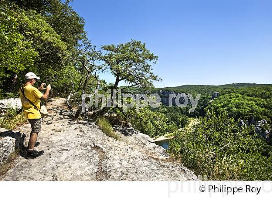 LE BOIS DE PAIOLIVE, LA CORNICHE,  GORGES DU CHASSEZAC,  COMMUNE LES VANS, BAS-VIVARAIS, ARDECHE. (07F01009.jpg)