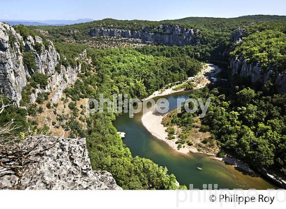 LE BOIS DE PAIOLIVE, LA CORNICHE,  GORGES DU CHASSEZAC,  COMMUNE LES VANS, BAS-VIVARAIS, ARDECHE. (07F01011.jpg)