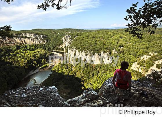 LE BOIS DE PAIOLIVE, LA CORNICHE,  GORGES DU CHASSEZAC,  COMMUNE LES VANS, BAS-VIVARAIS, ARDECHE. (07F01014.jpg)