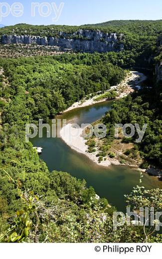 LE BOIS DE PAIOLIVE, LA CORNICHE,  GORGES DU CHASSEZAC,  COMMUNE LES VANS, BAS-VIVARAIS, ARDECHE. (07F01022.jpg)