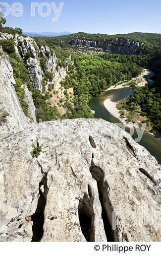 LE BOIS DE PAIOLIVE, LA CORNICHE,  GORGES DU CHASSEZAC,  COMMUNE LES VANS, BAS-VIVARAIS, ARDECHE. (07F01024.jpg)