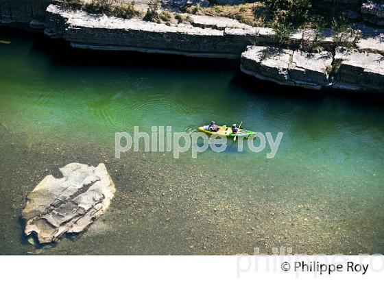 LE BOIS DE PAIOLIVE, LA CORNICHE,  GORGES DU CHASSEZAC,  COMMUNE LES VANS, BAS-VIVARAIS, ARDECHE. (07F01033.jpg)