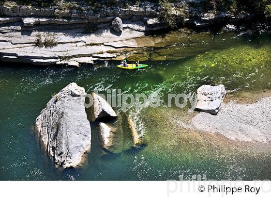 LE BOIS DE PAIOLIVE, LA CORNICHE,  GORGES DU CHASSEZAC,  COMMUNE LES VANS, BAS-VIVARAIS, ARDECHE. (07F01035.jpg)