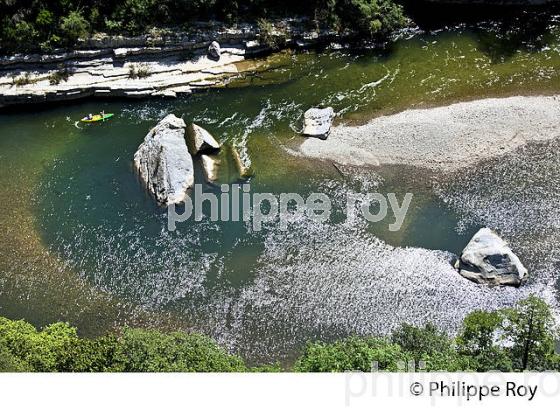 LE BOIS DE PAIOLIVE, LA CORNICHE,  GORGES DU CHASSEZAC,  COMMUNE LES VANS, BAS-VIVARAIS, ARDECHE. (07F01037.jpg)