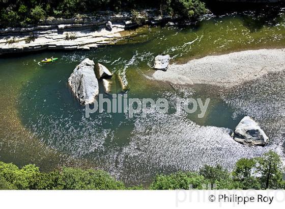 LE BOIS DE PAIOLIVE, LA CORNICHE,  GORGES DU CHASSEZAC,  COMMUNE LES VANS, BAS-VIVARAIS, ARDECHE. (07F01037.jpg)