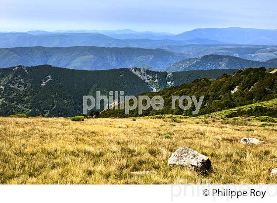 LE PLATEAU DU TANARGUE, MONTS DU VIVARAIS,  BAS-VIVARAIS, ARDECHE. (07F01310.jpg)