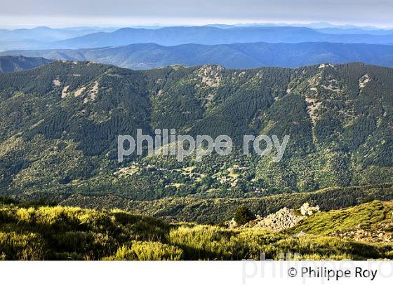 LE MASSIF DU TANARGUE, MONTS DU VIVARAIS,  BAS-VIVARAIS, ARDECHE. (07F01315.jpg)
