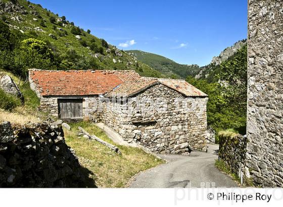 VILLAGE FORTIFIE DE BORNE, MASSIF DU TANARGUE,   BAS-VIVARAIS, ARDECHE. (07F01327.jpg)