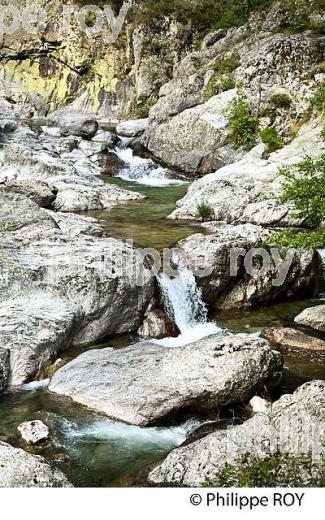 LES  GORGES DE LA BORNE, MASSIF DU TANARGUE,   BAS-VIVARAIS, ARDECHE. (07F01401.jpg)