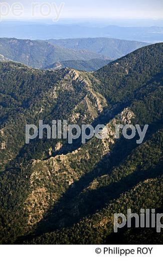 COL DU MEYNARD,  VALLEE DE LA BEAUME , MASSIF DU TANARGUE,   BAS-VIVARAIS, ARDECHE. (07F01403.jpg)