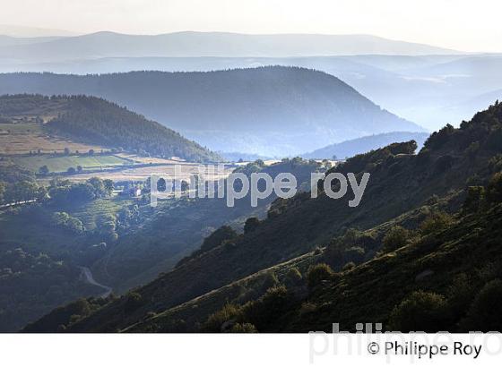 COL DU MEYNARD,  VALLEE DE LA BORNE , MASSIF DU TANARGUE,   BAS-VIVARAIS, ARDECHE. (07F01406.jpg)