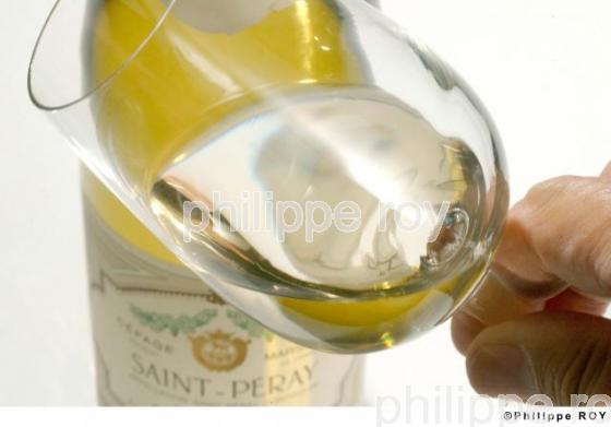 Le vignoble des Ctes du Rhne (07V00108.jpg)