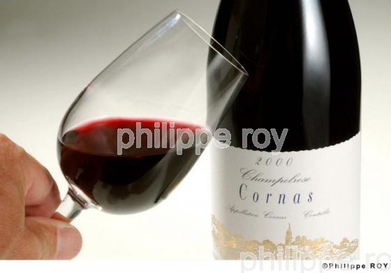 Le vignoble des Ctes du Rhne (07V00112.jpg)