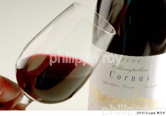 Le vignoble des Ctes du Rhne (07V00114.jpg)