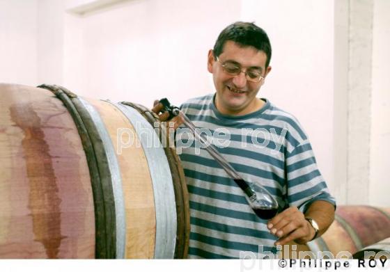 Le vignoble des Ctes du Rhne (07V00118.jpg)