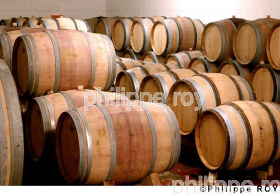 Le vignoble des Ctes du Rhne (07V00120.jpg)