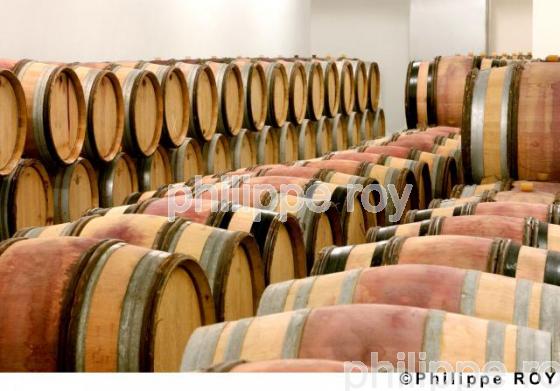 Le vignoble des Ctes du Rhne (07V00121.jpg)