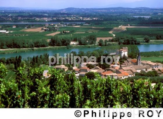 Le vignoble des Ctes du Rhne (07V00208.jpg)