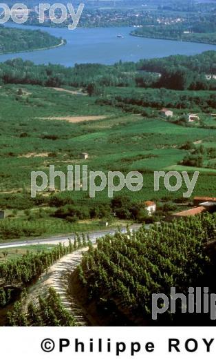 Le vignoble des Ctes du Rhne (07V00224.jpg)