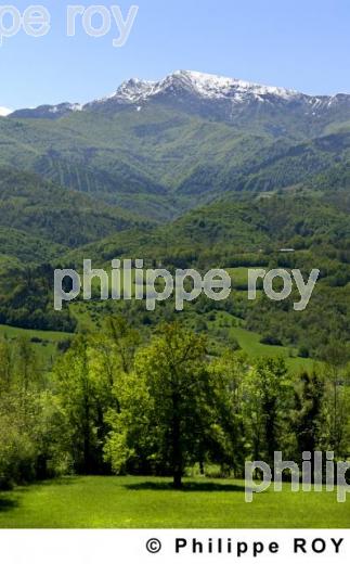 L'Ariege (09F00136.jpg)