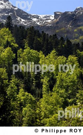 L'Ariege (09F00139.jpg)