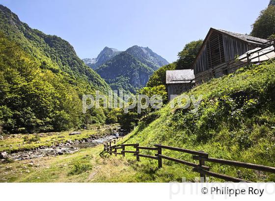 LE PLA DE LA LAU, ET MONT VALIER, RESERVE NATURELLE,    COUSERANS, ARIEGE. (09F00306.jpg)