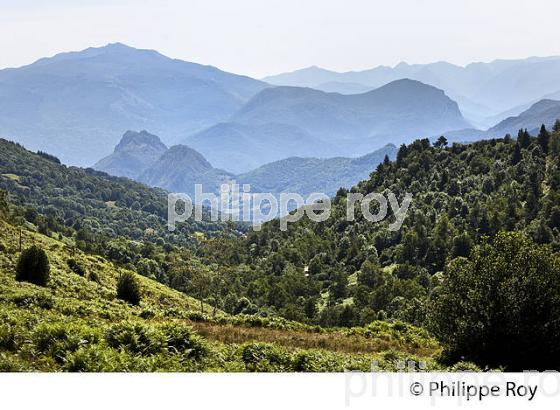 LE  COL DE PORT, MASSIF DES TROIS SEIGNEURS, COMMUNE DE SAURAT, ARIEGE. (09F00424.jpg)