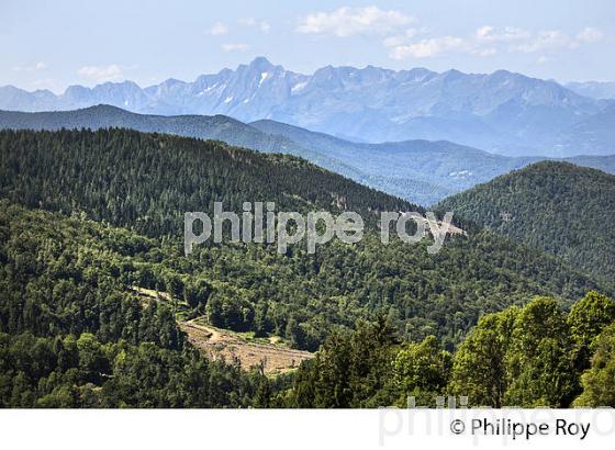 COL DE PEGUERE, VALLEE DE L' ARAC, MASSIF DU MONT VALIER, COUSERANS,  ARIEGE. (09F00502.jpg)