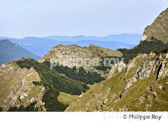 RANDONNEE PEDESTREE, MASSIF DU COUSERANS, AULUS LES BAINS, ARIEGE. (09F01232.jpg)