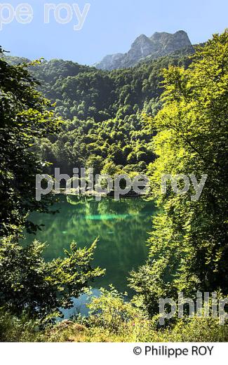 LE LAC DE BETHMALE, ET MONT VALIER, VALLEE DE BETHMALE, COUSERANS, ARIEGE. (09F01610.jpg)