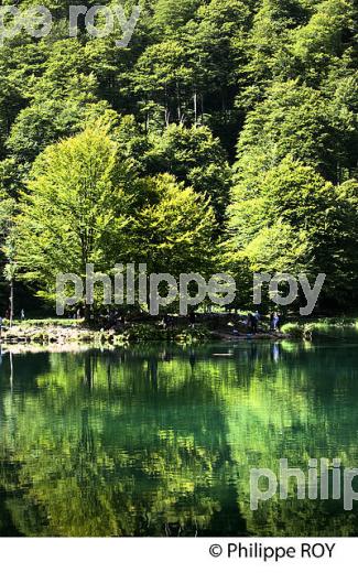 LE LAC DE BETHMALE,  VALLEE DE BETHMALE, COUSERANS, ARIEGE. (09F01612.jpg)