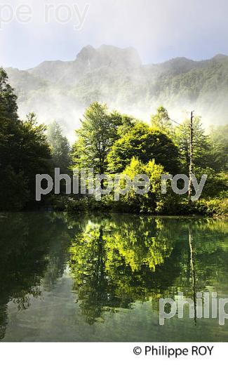 LE LAC DE BETHMALE, ET MONT VALIER, VALLEE DE BETHMALE, COUSERANS, ARIEGE. (09F01613.jpg)